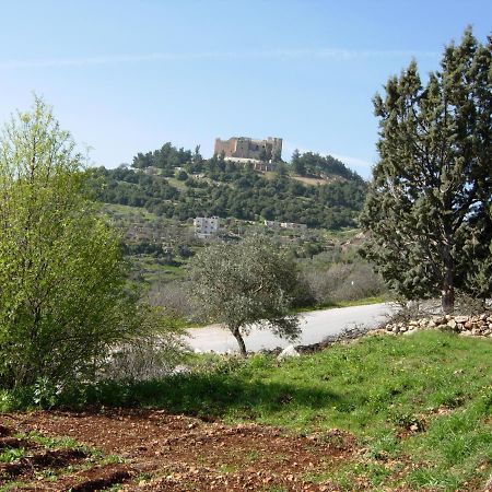 Ajloun Hotel Экстерьер фото